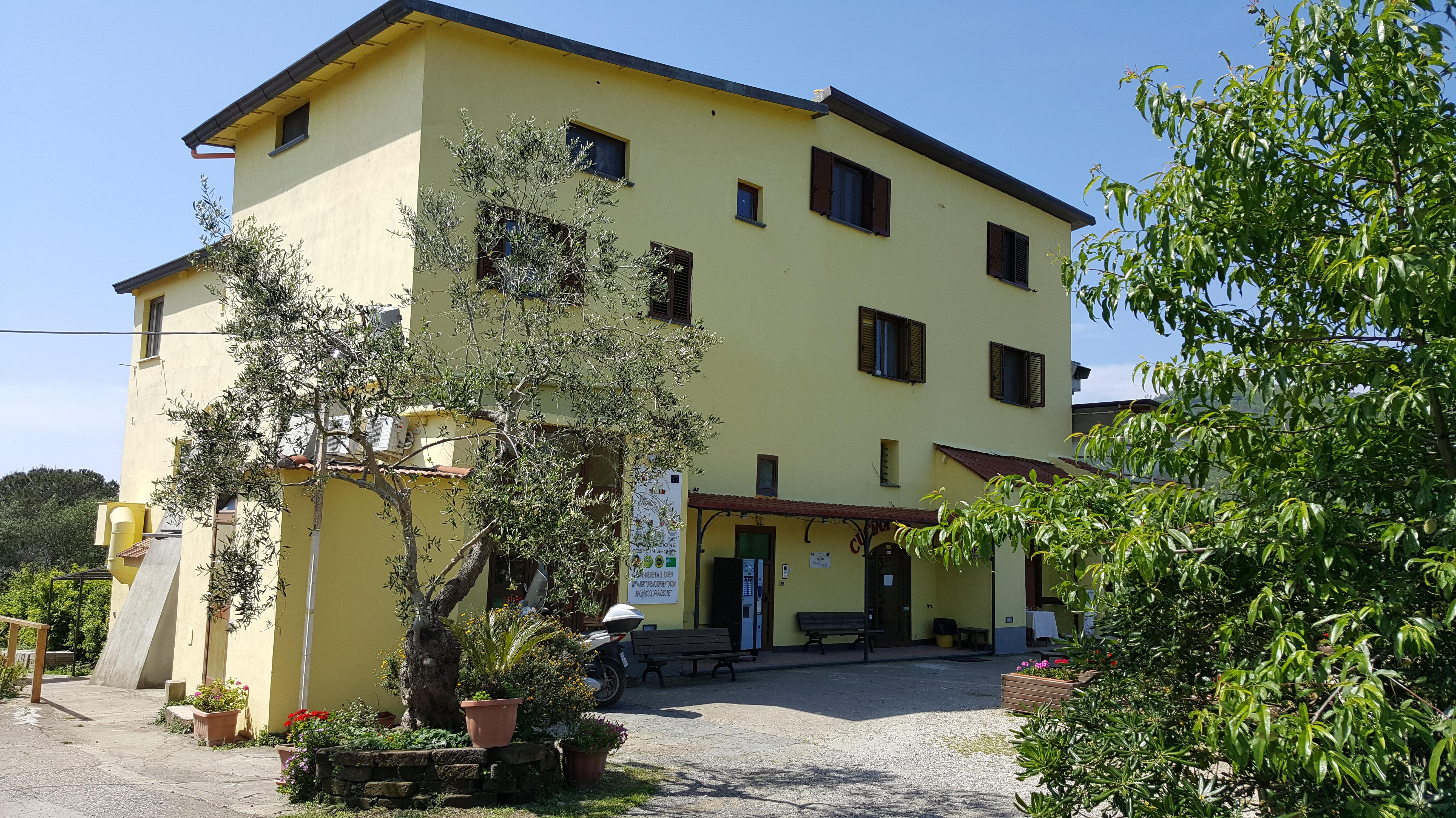 Agriturismo Piccolo Paradiso ปิอาโนดิซอร์เรนโต ภายนอก รูปภาพ
