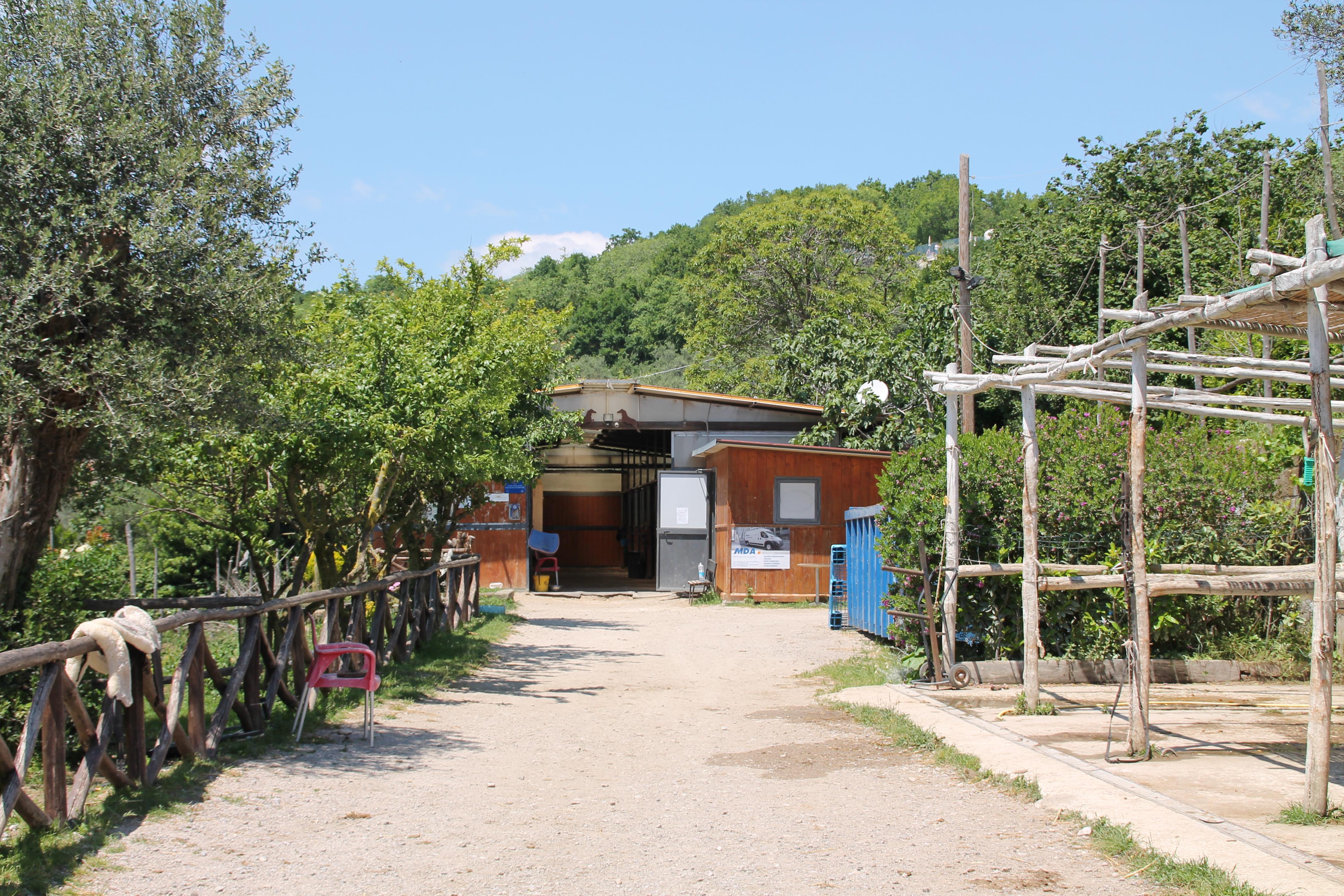 Agriturismo Piccolo Paradiso ปิอาโนดิซอร์เรนโต ภายนอก รูปภาพ