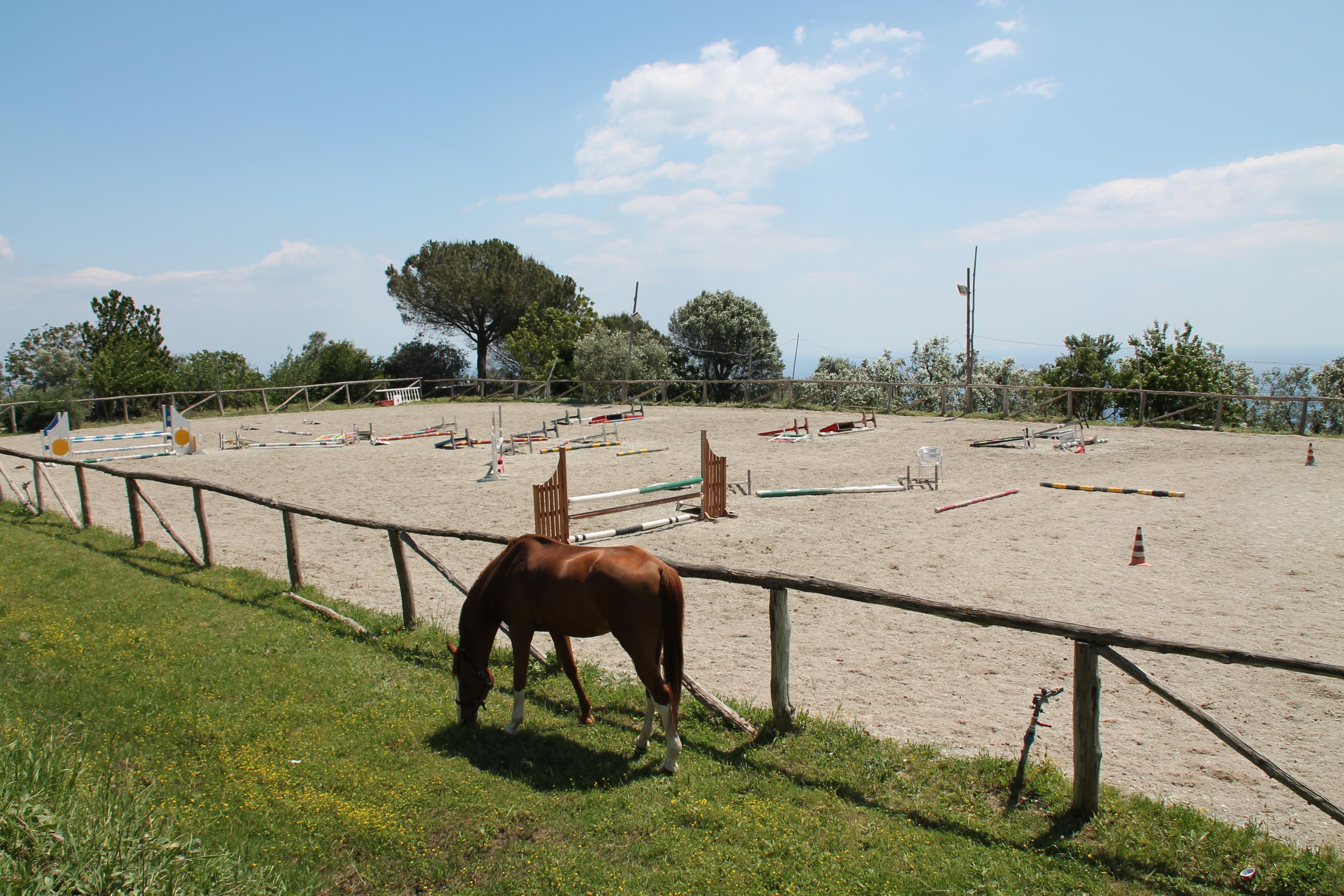 Agriturismo Piccolo Paradiso ปิอาโนดิซอร์เรนโต ภายนอก รูปภาพ
