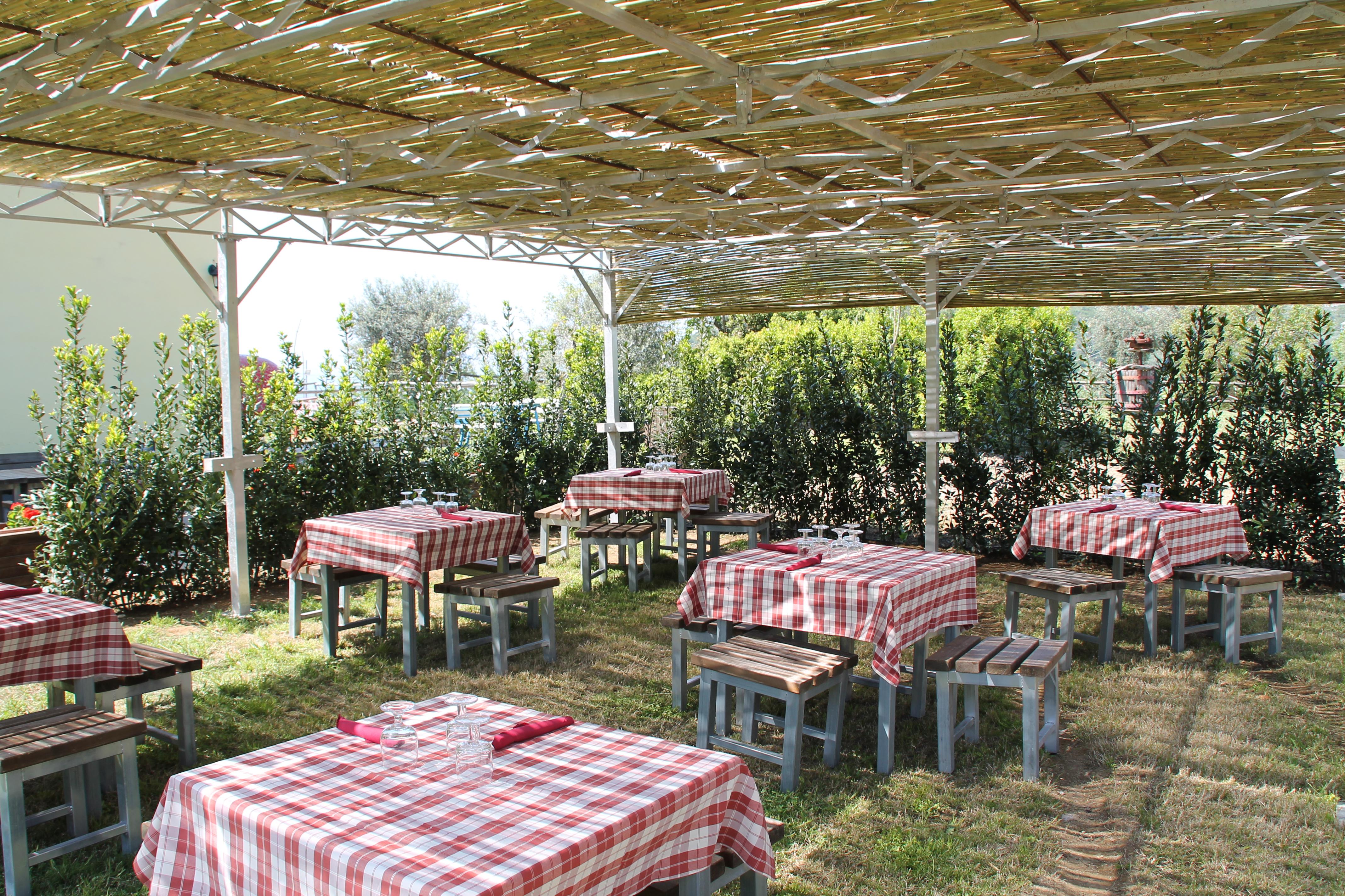 Agriturismo Piccolo Paradiso ปิอาโนดิซอร์เรนโต ภายนอก รูปภาพ