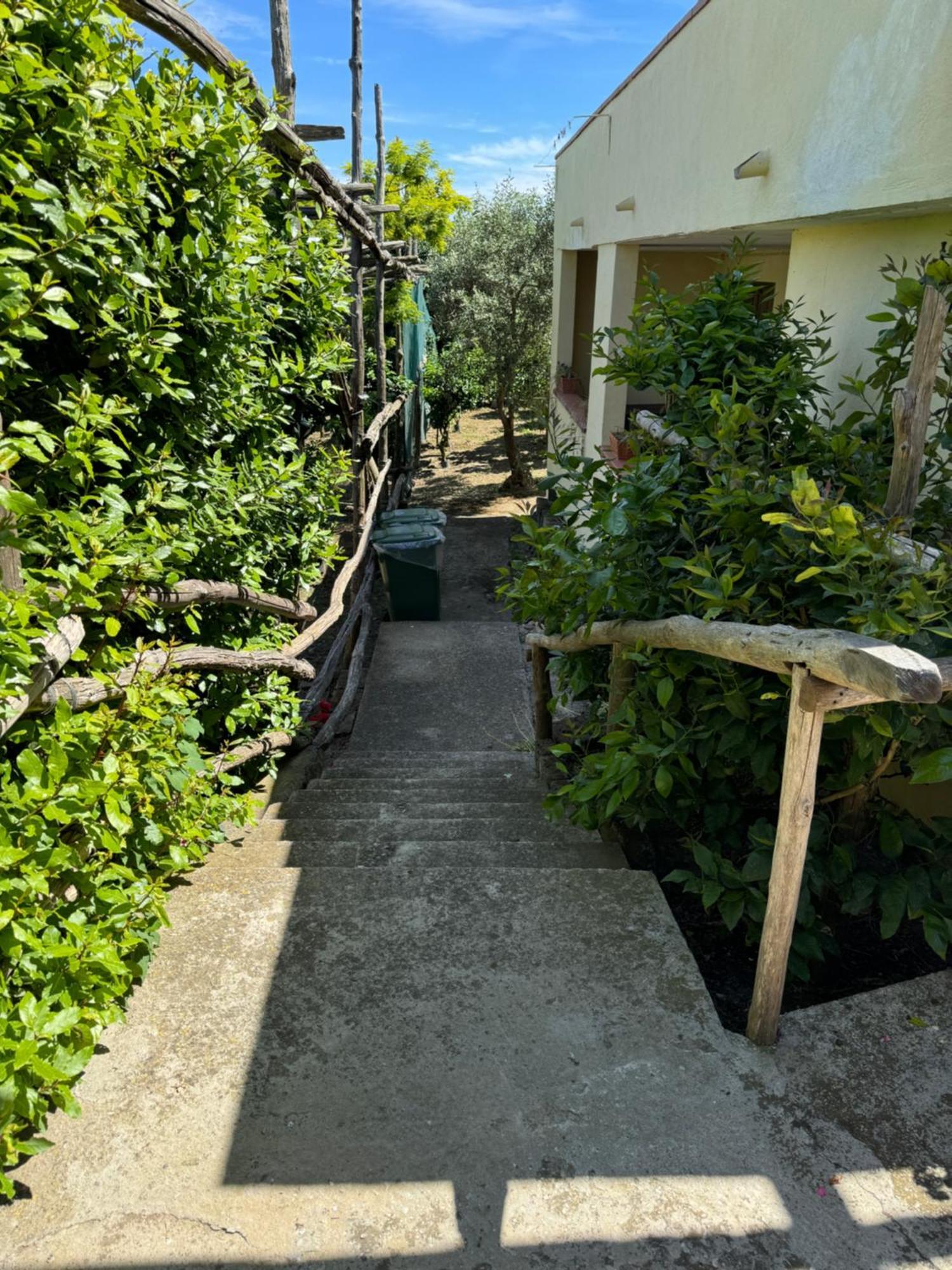 Agriturismo Piccolo Paradiso ปิอาโนดิซอร์เรนโต ภายนอก รูปภาพ
