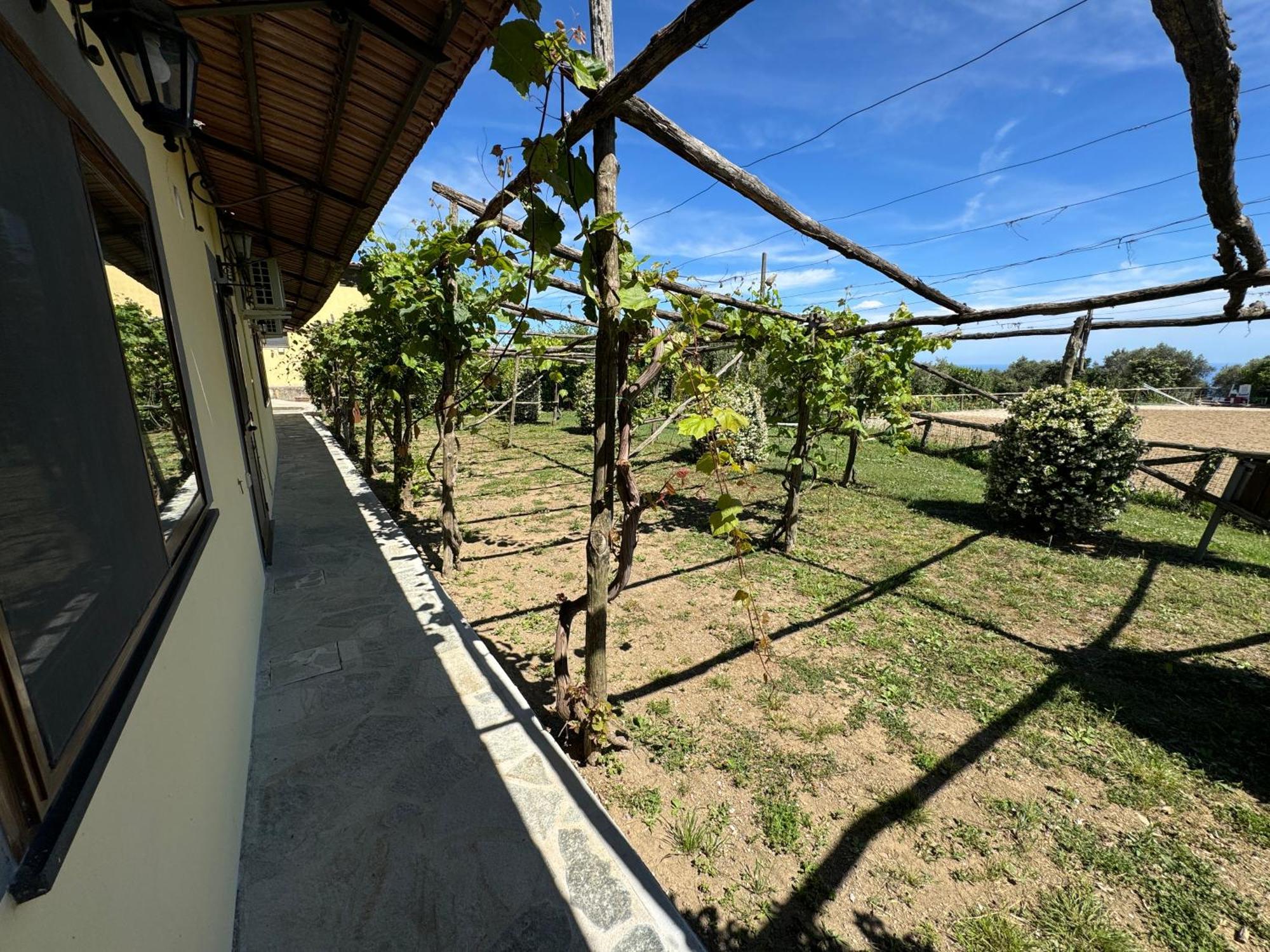Agriturismo Piccolo Paradiso ปิอาโนดิซอร์เรนโต ภายนอก รูปภาพ