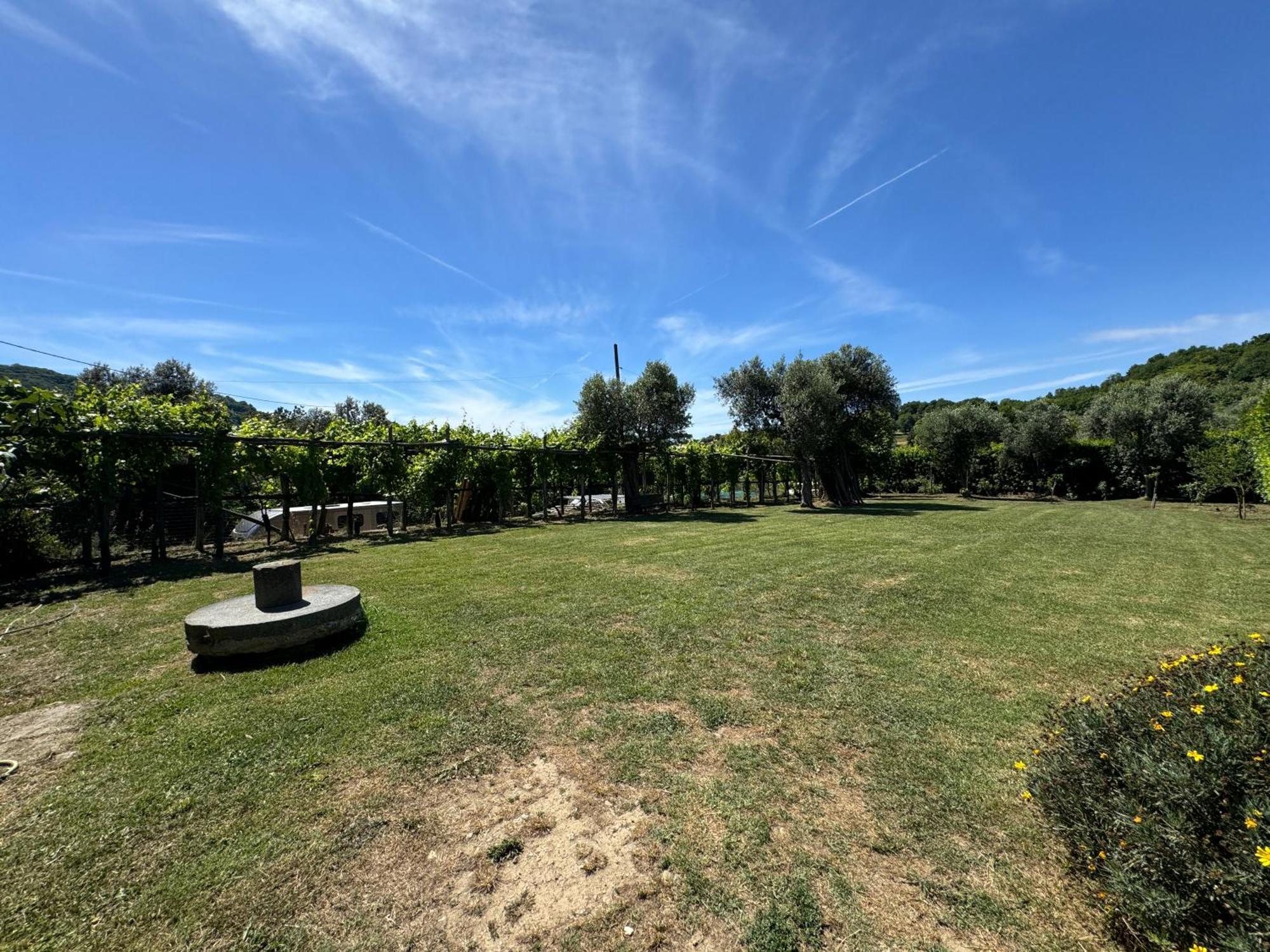 Agriturismo Piccolo Paradiso ปิอาโนดิซอร์เรนโต ภายนอก รูปภาพ