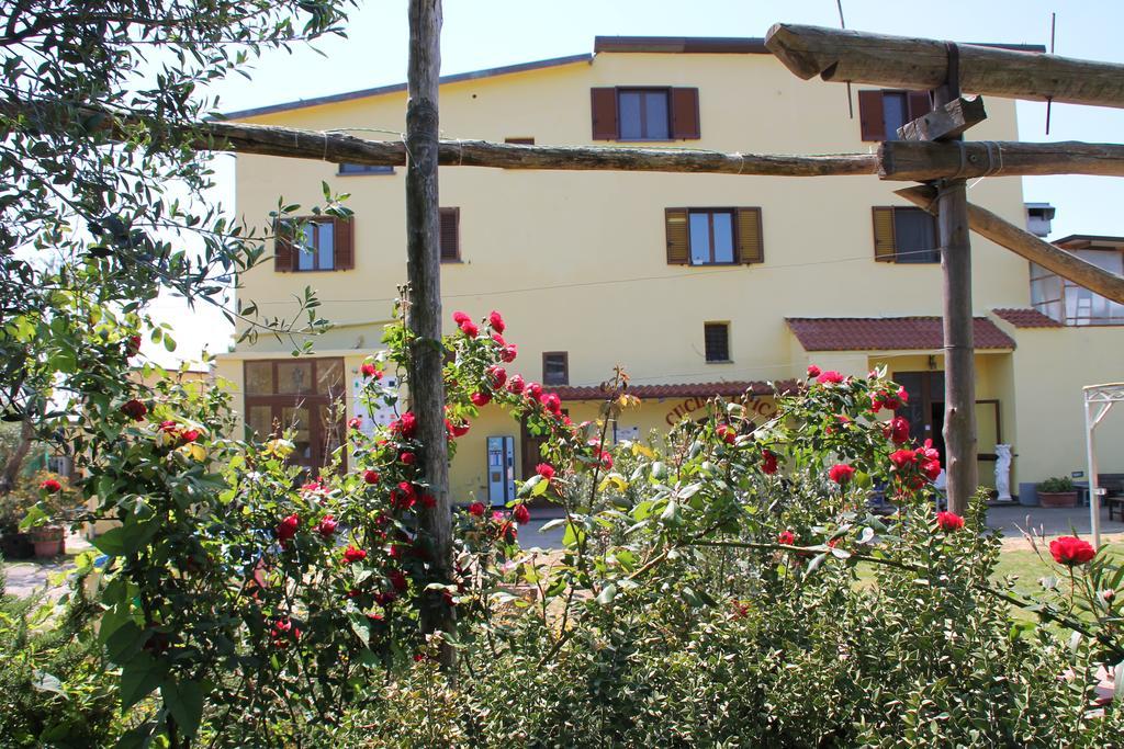 Agriturismo Piccolo Paradiso ปิอาโนดิซอร์เรนโต ภายนอก รูปภาพ