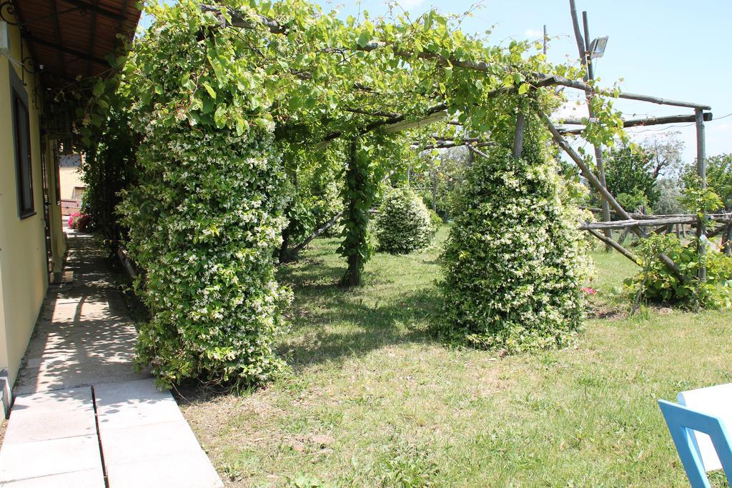 Agriturismo Piccolo Paradiso ปิอาโนดิซอร์เรนโต ภายนอก รูปภาพ
