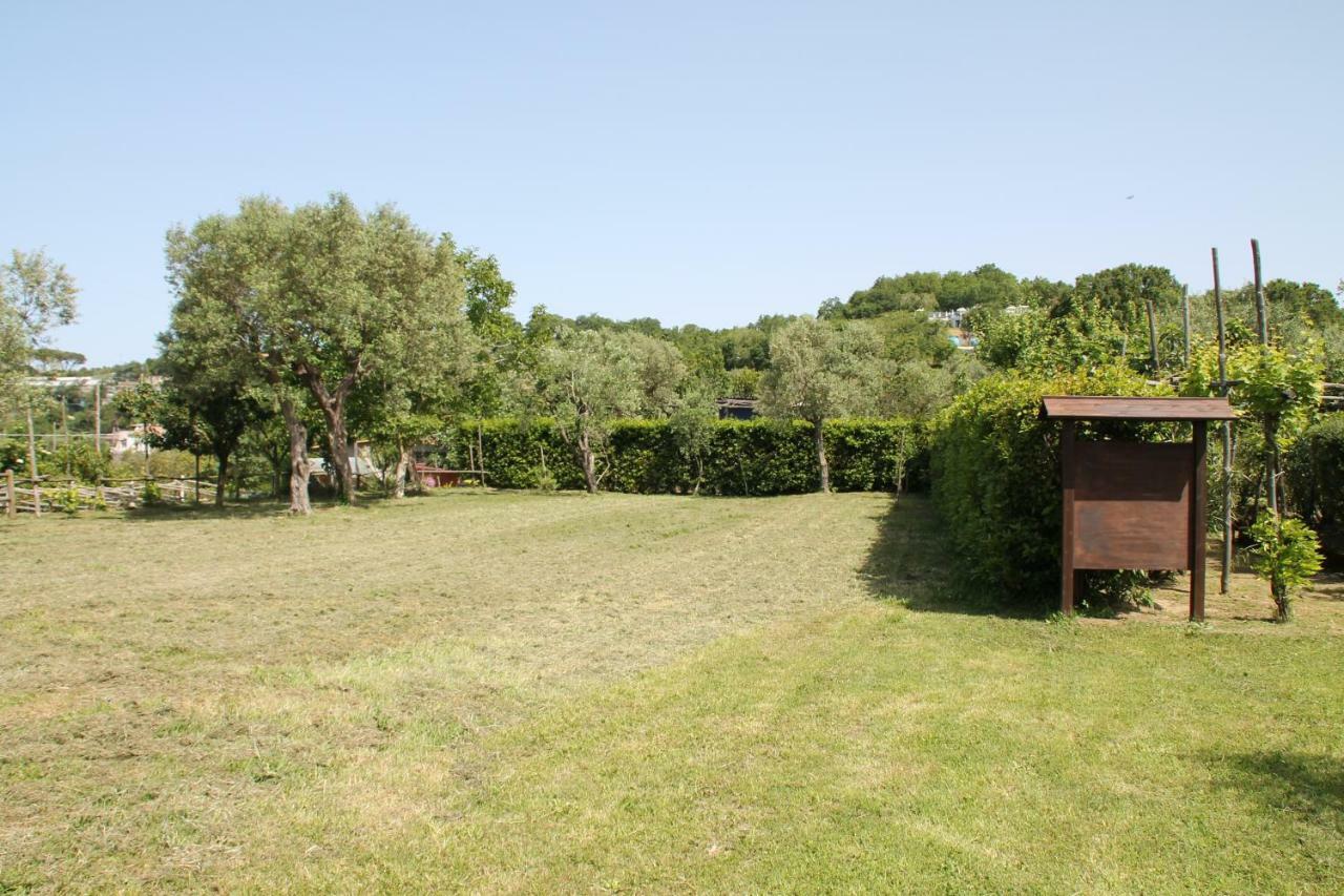 Agriturismo Piccolo Paradiso ปิอาโนดิซอร์เรนโต ภายนอก รูปภาพ