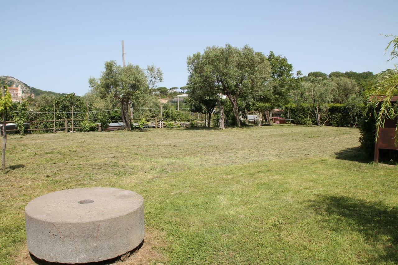Agriturismo Piccolo Paradiso ปิอาโนดิซอร์เรนโต ภายนอก รูปภาพ